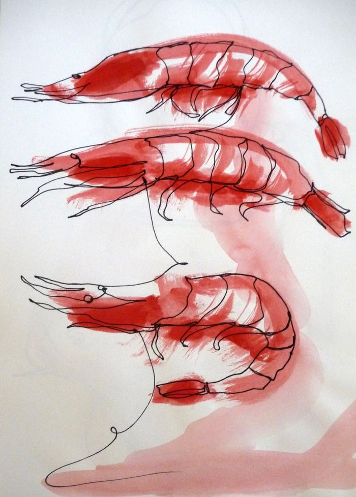 Fresh Prawns
